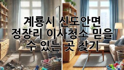 계룡시 신도안면 정장리 이사청소, 믿을 수 있는 곳 찾기