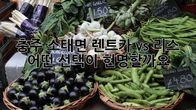 충주 소태면 렌트카 vs 리스, 어떤 선택이 현명할까요?